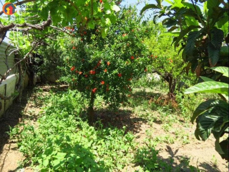 Sitia Kreta, Sitia, Haus mit großem Garten in Strandnähe zu verkaufen in Sitia Haus kaufen